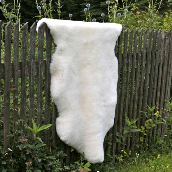 Lammfell Champagner Kurzhaar Wollhöhe 3-4 cm Größe: 100-110 Bild 6