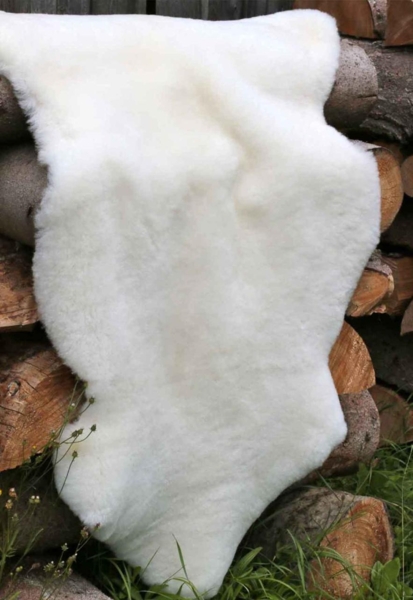 Lammfell Champagner Kurzhaar Wollhöhe 3-4 cm Größe: 100-110 Bild 2