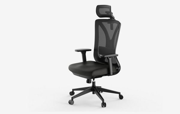 Ergolutions Bürostuhl ergonomisch VITA Mesh Schreibtischstuhl, 5 Jahre Garantie / Mesh Rückenlehne / Lumbalstütze / Schiebesitz
