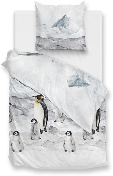 Zo! Home Flanell Bettwäsche 155x220 Frostine Pinguine Eis Eisberg grau eisblau
