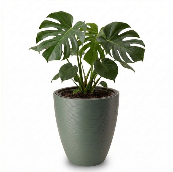 matches21 HOME & HOBBY Blumentopf Großer Outdoor Blumentopf ZENTO salbei-grün in 39x58 cm (1 St), Runder innen, außen Pflanztopf als wetterfester Pflanzen-Topf