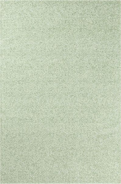 9539 Pearl Moss - 170 x 240