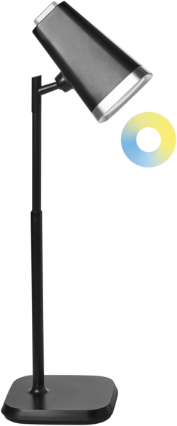 LED Schreibtischlampe MUSCA mit Dimmer Schwarz