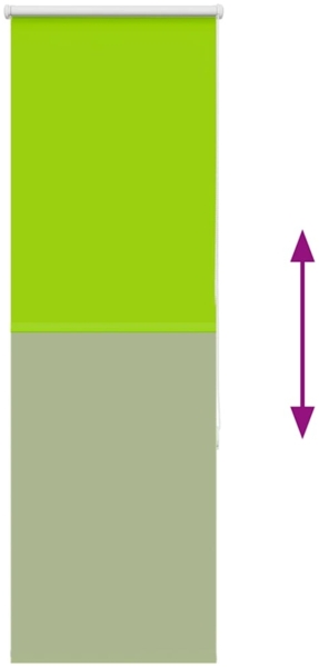 vidaXL Verdunkelungsrollo Grün 60x175 cm Stoffbreite 55,7 cm Polyester 4011276 Bild 8