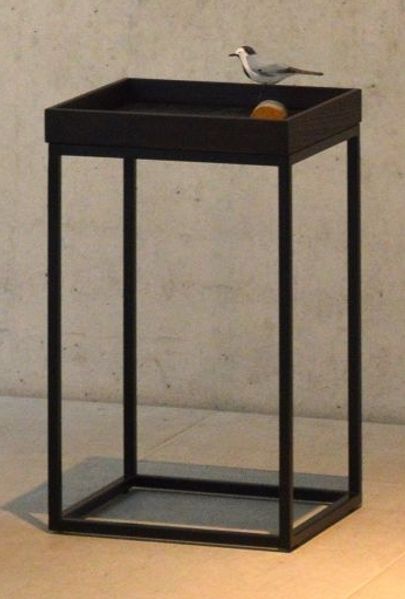 Beistelltisch Pino Säulenform Gestell schwarz Tablett Esche Wenge