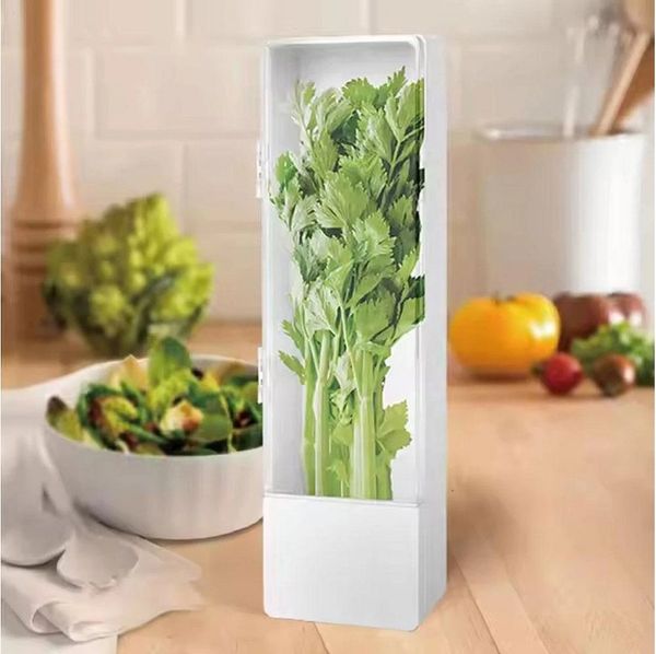 BlingBin Frischhaltedose Kräuterbehälter für Kühlschrank, Kräuter Aufbewahrungsbehälter, Kunststoff, (1er Ser, 3-tlg, 27 × 8,7 × 7,5 cm), Langfristige Frischekonservierung, Kräuteraufbewahrung für Koriander