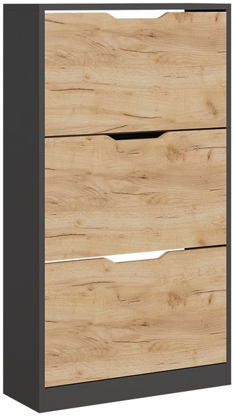 Schuhkipper Luca Anthrazit/Goldkraft Eiche 59 x 105 cm mit 3 Fächern Vicco