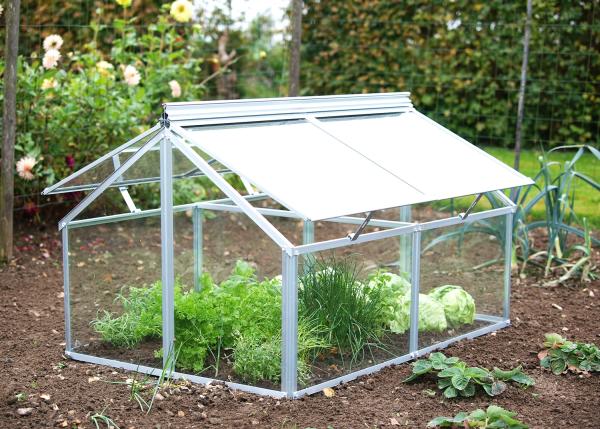 Vitavia Frühbeet Gaia Jumbo 3mm ESG Glas BxTxH 83x120x72/38cm Alu eloxiert