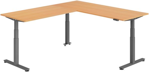 bümö Eckschreibtisch elektrisch höhenverstellbar L-Form: 200 x 240 cm in Buche, Gestell graphit - Stehschreibtisch mit Memory-Steuerung, elektrischer XXL Schreibtisch für die Ecke, XDSMW-2016-6-G