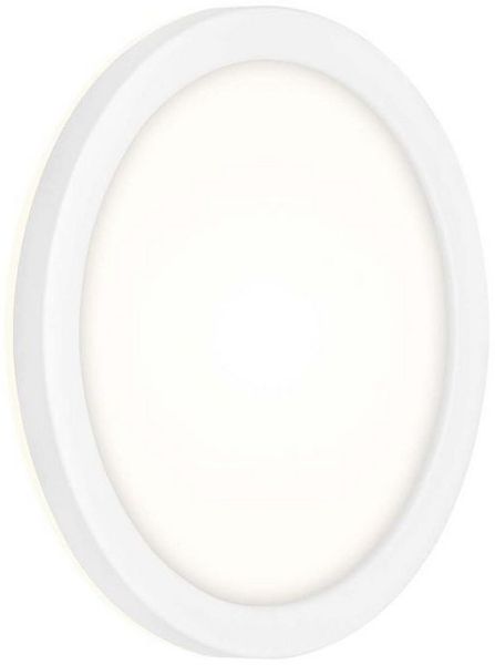 Briloner Leuchten Außen-Wandleuchte 3008016, LED fest integriert, 4000K - Neutralweiß