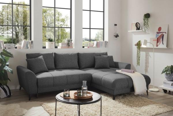 Sofa Bern von ED Exciting Design mit Schlaffunktion Anthrazit, Bettkasten und Lumos Mikrofaserbezug