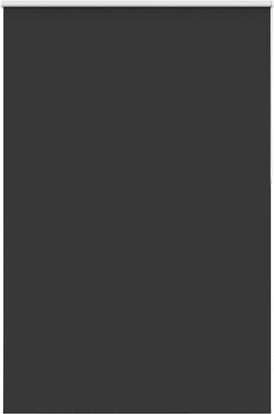 vidaXL Verdunkelungsrollo Schwarz 155x230 cm Stoffbreite 151,6 cm 4010957