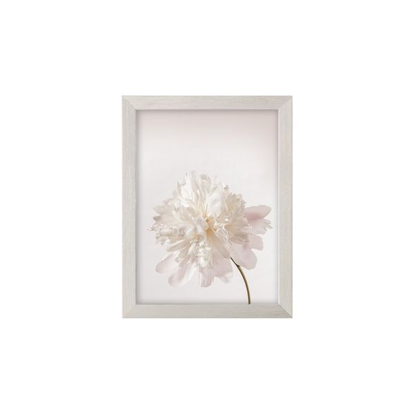 Dekoria Wandbild Peony III 18x24cm silver