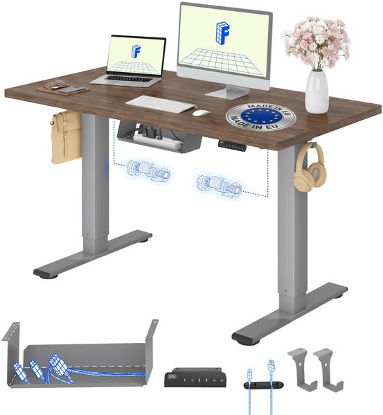 FLEXISPOT Höhenverstellbarer Schreibtisch mit 2 Motoren & 25MM EINTEILIGER Tischplatte 120x80 cm, Ergonomischer Bürotisch Elektrisch mit Kabelmanagement, Memory Funktion & Höhenanzeige