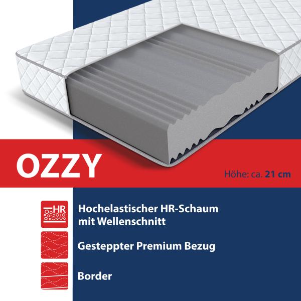 Matratze 140x200 cm OZZY 7 Zonen 21 cm H3 Kaltschaum Wellness Bild 5