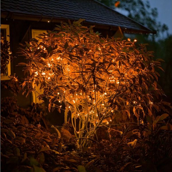 esotec LED-Lichterkette 60 bernstein-LEDs 6m LED Kette + 2m Zuleitung Weihnachtsdeko 102172