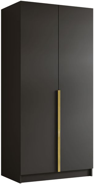 Drehtürenschrank Borton I, Kleiderschrank mit 2 Türen (Farbe: Schwarz / Schwarz + Gold)