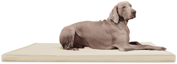 CARLOS Orthopädische Hundematratze Hundematte - 05 Creme, 120x90cm