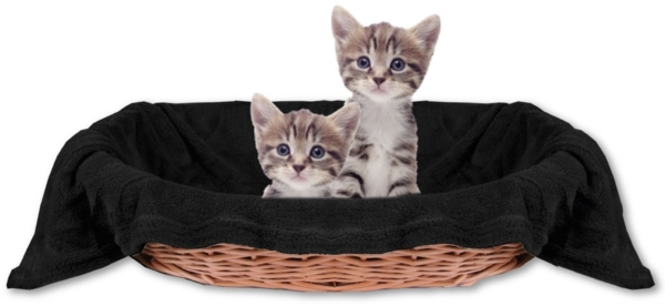 Haustierdecke Katzendecke Kuscheldecke Tierdecke , angenehm und super weich in vielen verschiedenen Farben erhältlich (90x140 cm / schwarz - black)