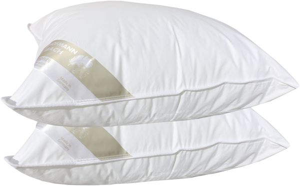 2 Stück Betten Hofmann Basic Allergiker Faserkissen 60x60 cm Kopfkissen 550 g