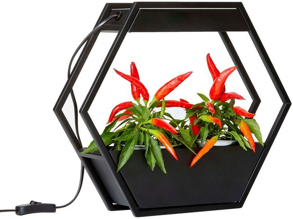Northpoint Pflanzenlampe LED Pflanzenlampe Pflanzenleuchte Gewächslampe Metallgestell 12W