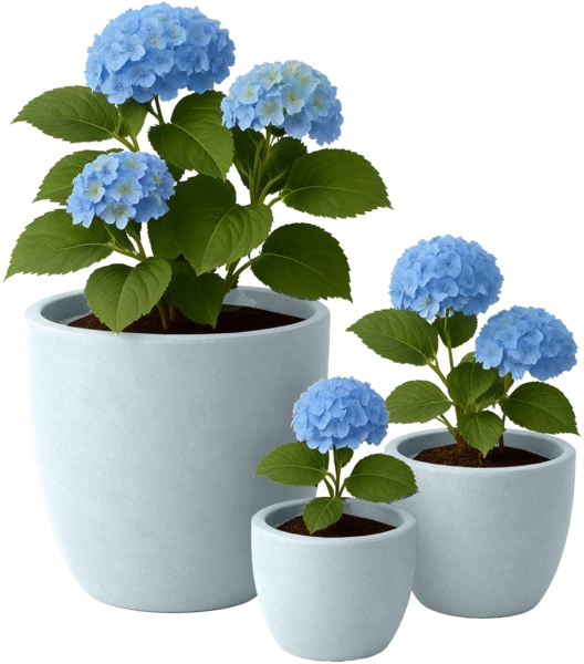 CLP 3er Set Pflanzkübel rund wetterbeständig in Steinoptik mit Ablauf,grau