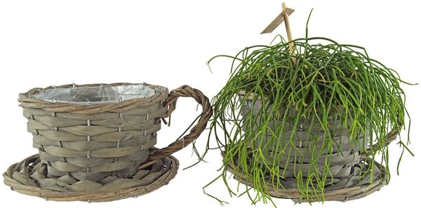 2er Set Natürliche Pflanztasse ca. 11 cm - Gartendekoration