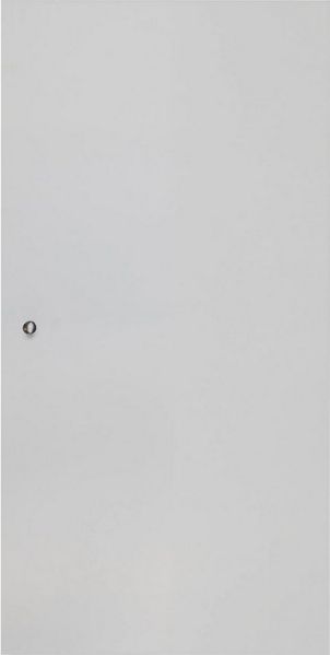 Hammel Furniture Türfront Mistral Kubus 062, Tür passend zur Sideboard & Bücherregal (1 St), für Korpus 025, 026, 116 und 117, Blick nach r. oder l, Breite: 32 cm