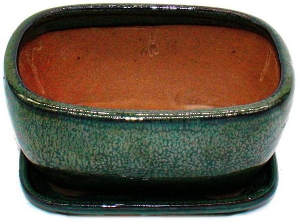 Exotenherz Pflanzschale Bonsai-Schale mit Unterteller Gr. 2 Grün rechteckig Modell GB5 L 17cm (1 St)