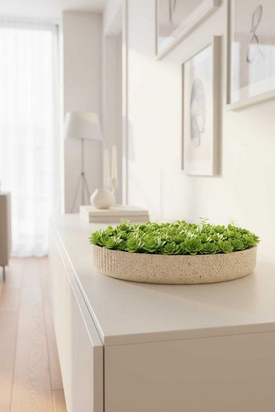 VIVANNO Pflanzschale Fiberglas ORYVEN Schale - Arbanerelief Matt (1 St), 30x5 cm