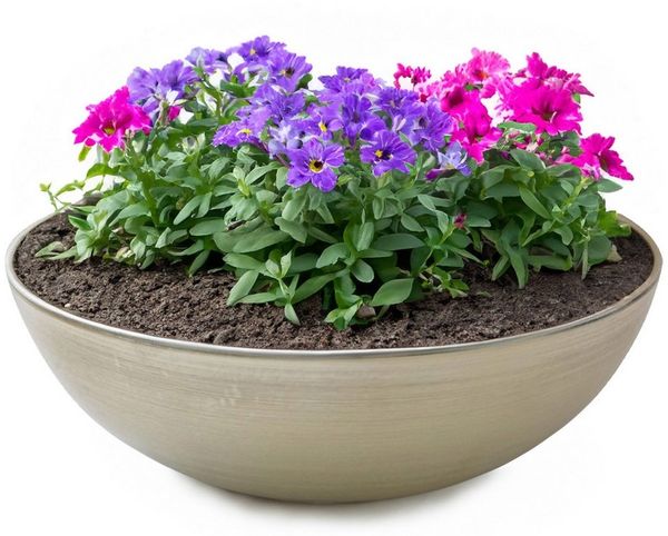 matches21 HOME & HOBBY Blumentopf Runde bauchige 25 cm Pflanzschale für draussen, champagner beige (1 St), Wetterfeste Blumen-Schale als moderne Gartendeko Grabschmuck