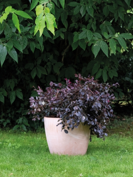 Deroma Pflanztopf Egg Pot White Garden Terrakotta Ø 25 x 22 cm Bild 2