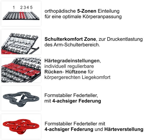 Setangebot: 2 Stück TerraMed T-Flex Teller-Lattenroste. 80x200cm. manuell verstellbar Bild 6