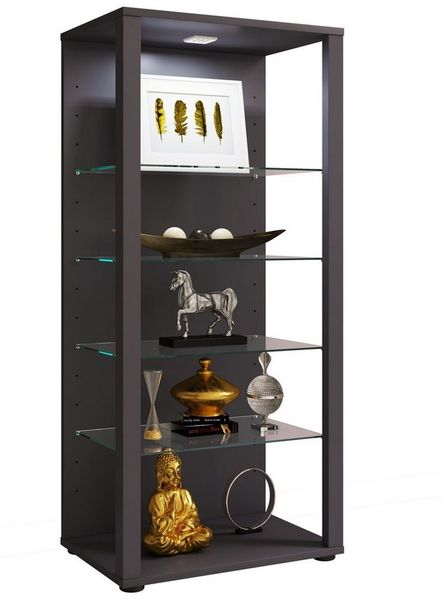 VCM Standvitrine Glasol, ohne Beleuchtung, 918634 Schwarz H. 115 x B. 52 x T. 35 cm
