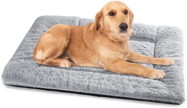 Baodan Hundebett Mittelgroße Hunde Waschbar, 90x60 cm Hundekissen Flauschig mit rutschfeste Unterseite, Hundebetten für Mittelgroße Hunde, Grau