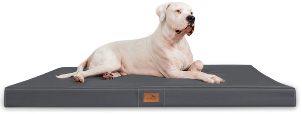 OSCAR EASY CLEAN Orthopädische Hundematratze - 100x80cm, 02 Graphit