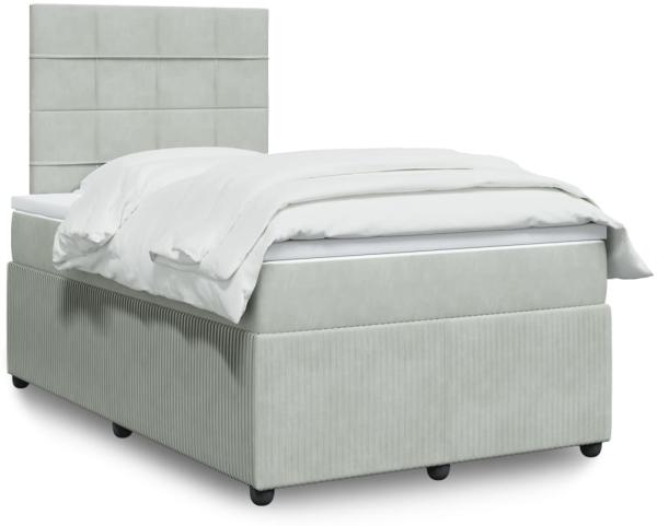 vidaXL Boxspringbett mit Matratze Hellgrau 120x200 cm Samt 3292310