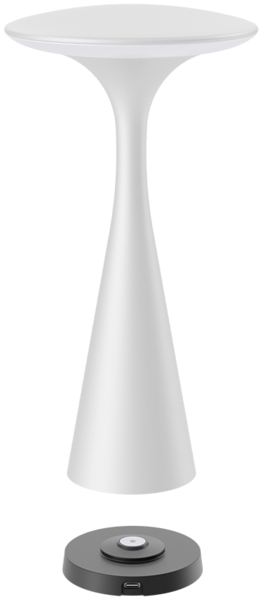 LED Tischlampe Touch Dimmbar mit Akku Tischleuchte Innen/Aussen Farbwahl CCT USB Weiß Bild 3