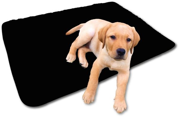 Haustierdecke Hundedecke Schutzdecke Liegedecke für Tiere Lammflor schwarz - jet black 70x100 cm