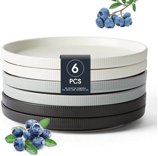 JIWOO Teller 4er,Ø21.3cm,Salatteller,Dessertteller,Vorspeisenteller,Brotteller, (6 St), Keramik,Mattglas,Mikrowellen-und spülmaschinenfest,Stapelbares,Ø21.3cm