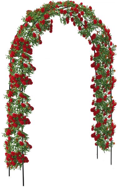 Brixy - Rosenbogen - Gartenbogen - Rankhilfe - Blumenbogen - Für Kletterpflanzen - Metall - 240 x 140 x 38 cm - Schwarz