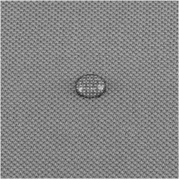 AIO Tierkissen, Prestige Wasserdichtes Hundekissen Bild 2