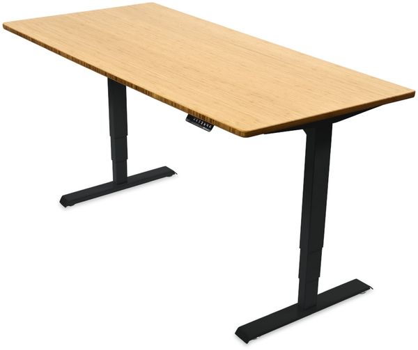 Desktopia Pro - Elektrisch höhenverstellbarer Schreibtisch / Ergonomischer Tisch mit Memory-Funktion, 5 Jahre Garantie - (Bambus Echtholz, 160x80 cm, Gestell Schwarz)