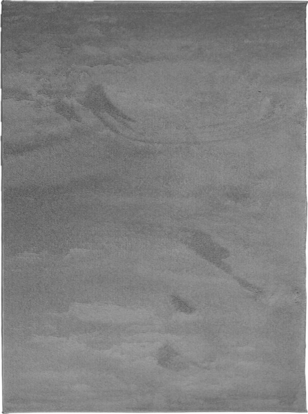 vidaXL Teppich OVIEDO Kurzflor Anthrazit 240x340 cm 375475