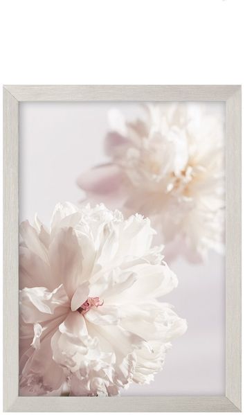 Dekoria Wandbild Peony II 21x30cm silver