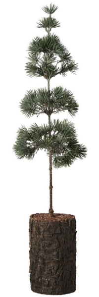 Ib Laursen - Zedernbaum mit Rindenfuß Künstlich H 60cm Weihnachtsbaum 27992-00