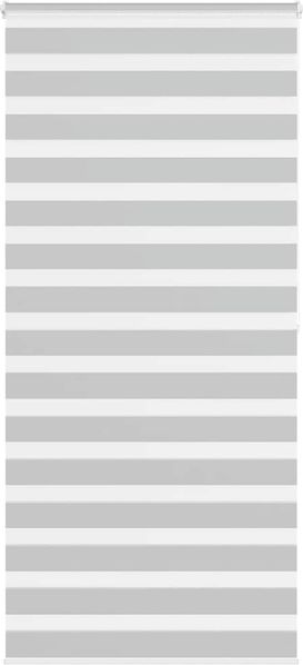 vidaXL Doppelrollo Hellgrau 110x200 cm Stoffbreite 105,9 cm Polyester 4014471