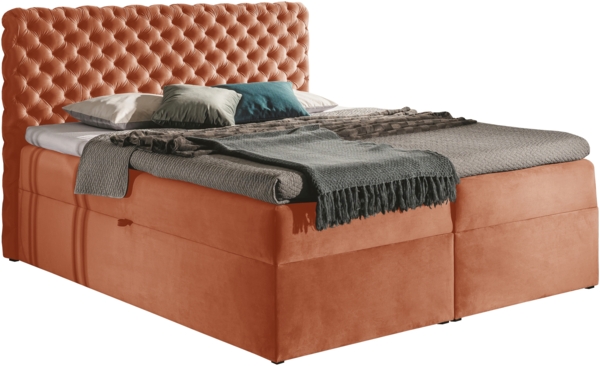 99rooms Angelo Boxspringbett Velours 160x200 cm Korallenrot Bild 4