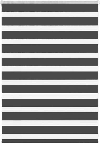 vidaXL Doppelrollo Schwarz 95x100 cm Stoffbreite 90,9 cm Polyester 4014208
