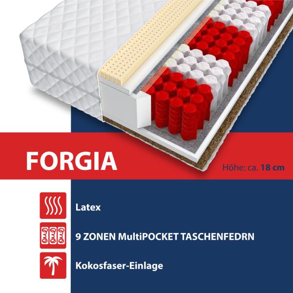Matratze FORGIA 9 Zonen 180 x 200 LATEX Kokos H3 H4 Taschenfederkern 19cm Bild 4